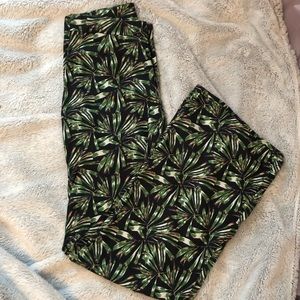🌴Palm palazzos🌴